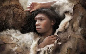 Fascinating Discovery: New Evidence of Neanderthal and Modern Human Interbreeding - image 1