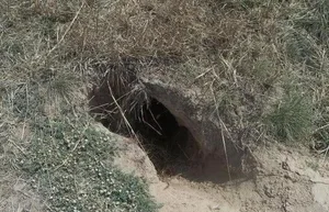 Mysterious Ancient Tomb Revealed After Hill Shakes for Nights - image 5