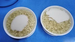 From 'Famine Relief' Grain to Coveted Culinary Delicacy: The Story of a Forgotten Food - image 0