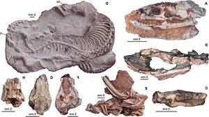 Scientific Breakthrough: Rare Fossilized Snake with Legs Stuns Experts - image 9