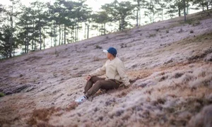 Magical Pink Grass Season in Da Lat: A Dreamy Autumn Destination - image 2