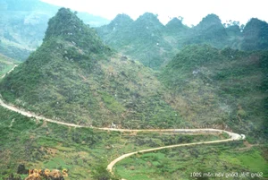 A 20-Year Journey: The Legend of the Ha Giang 'Dream' Backpacker - image 1