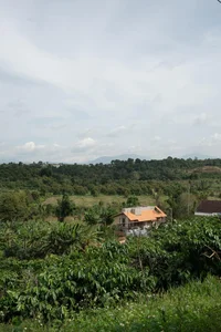 Nha Vua Du: A Minimalist Green Retreat in Bao Loc Hills - image 7