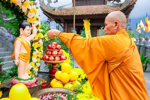 Spiritual Pilgrimage to Fansipan for Buddha's Birthday Celebration - image 1
