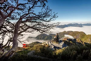 Spiritual Pilgrimage to Fansipan for Buddha's Birthday Celebration - image 0