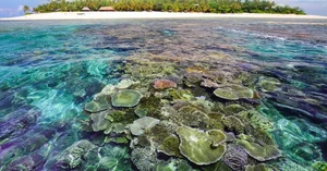 Earth's Most Uniquely Shaped Islands: Nature's Bizarre and Beautiful Creations - image 8