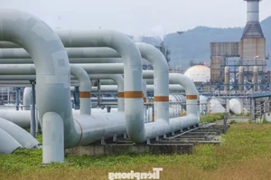 A Rare Look Inside Vietnam’s Largest Oil Refinery: Industrial Might Revealed - image 14