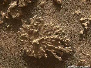 NASA's Curiosity Rover Discovers Bizarre Coral-Like Rock Formations on the Surface of Mars - image 10