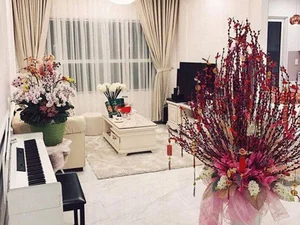 Single Vietnamese Female Celebrities Dominating the Real Estate Market - image 1