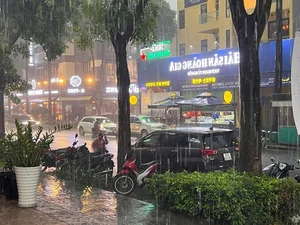 Ho Chi Minh City Flooding: Heavy Rain Causes Urban Chaos in TP HCM - image 0
