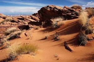 Uncovering the Priceless Treasures of Asia’s Largest Desert - image 0