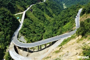 Vietnam's Most Beautiful Road Transformed After a Decade of Infrastructure Upgrades - image 3