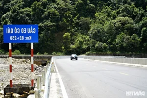 Vietnam's Most Beautiful Road Transformed After a Decade of Infrastructure Upgrades - image 1