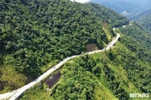 Vietnam's Most Beautiful Road Transformed After a Decade of Infrastructure Upgrades - image 9