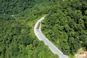 Vietnam's Most Beautiful Road Transformed After a Decade of Infrastructure Upgrades - image 8