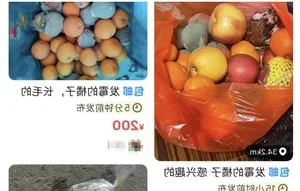 The Luxury Moldy Fruit Trend: Why Collectors Pay Premium Prices - image 3