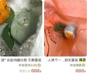 The Luxury Moldy Fruit Trend: Why Collectors Pay Premium Prices - image 6