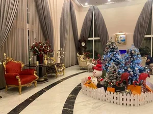 Inside the Luxurious Mansion of Vietnam's Unique Beauty Queen - image 5
