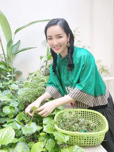 Inside the Luxurious Mansion of Vietnam's Unique Beauty Queen - image 4