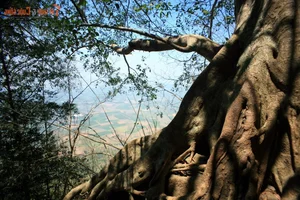 The Mystery of Hidden Treasure Around Ba Den Mountain - image 7