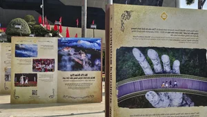 Da Nang - Development and Integration: A Visual Journey Through the Modern Coastal City - image 11