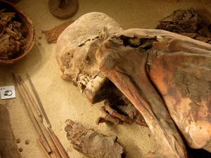 Archeological Breakthrough: 5,600-Year-Old Mummy Uncovers Ancient Secrets - image 2
