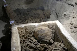 Archeological Breakthrough: 5,600-Year-Old Mummy Uncovers Ancient Secrets - image 5