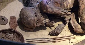 Archeological Breakthrough: 5,600-Year-Old Mummy Uncovers Ancient Secrets - image 8