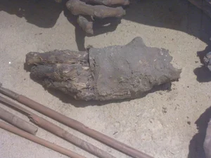 Archeological Breakthrough: 5,600-Year-Old Mummy Uncovers Ancient Secrets - image 9
