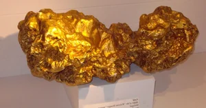 The World's Largest Gold Nuggets: A Look at Earth's Most Incredible Natural Treasures - image 9