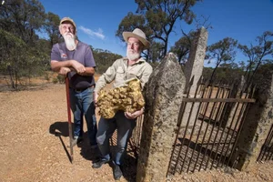 The World's Largest Gold Nuggets: A Look at Earth's Most Incredible Natural Treasures - image 1