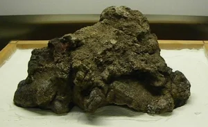 The World's Largest Gold Nuggets: A Look at Earth's Most Incredible Natural Treasures - image 10