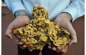 The World's Largest Gold Nuggets: A Look at Earth's Most Incredible Natural Treasures - image 2