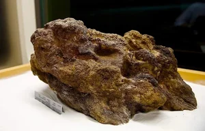 The World's Largest Gold Nuggets: A Look at Earth's Most Incredible Natural Treasures - image 4