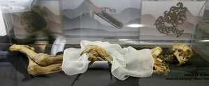 The Astonishing Secrets of the World's Most Famous Ancient Mummies - image 1