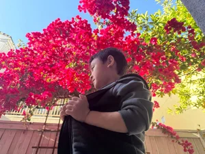 The Legacy Lives On: A Look Inside the Late Singer Phi Nhung's US Home - image 2