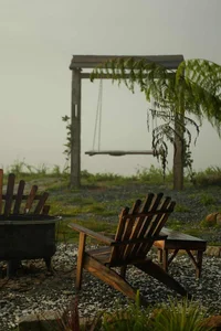 Da Lat Named Among the Best Places to Watch the Sunrise Globally - image 6