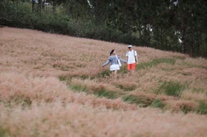 The Fairytale Pink Grass Hills of Tuyen Lam Lake in Da Lat - image 2