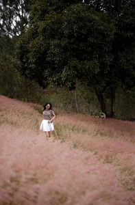 The Fairytale Pink Grass Hills of Tuyen Lam Lake in Da Lat - image 1