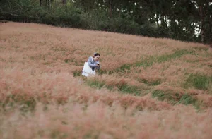 The Fairytale Pink Grass Hills of Tuyen Lam Lake in Da Lat - image 3