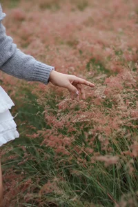 The Fairytale Pink Grass Hills of Tuyen Lam Lake in Da Lat - image 4