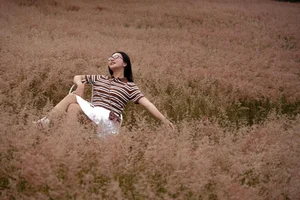 The Fairytale Pink Grass Hills of Tuyen Lam Lake in Da Lat - image 0