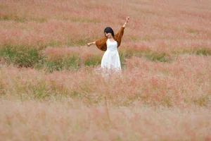 The Fairytale Pink Grass Hills of Tuyen Lam Lake in Da Lat - image 9
