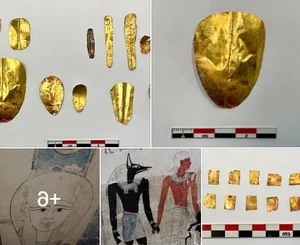 The Mystery of the Golden Tongues: Ancient Egyptian Burial Rituals Unveiled - image 0