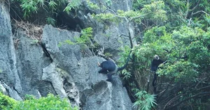 Protecting Vietnam’s Rare Wildlife: Endemic Species on the Brink of Extinction - image 3