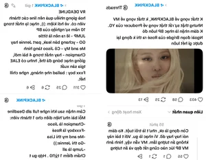 BLACKPINK Comeback Dynamics: Analyzing Spotlight Distribution and Fan Perspectives - image 8