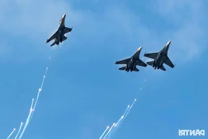 Stunning Gallery: SU-30MK2 Fighter Jets Light Up Ho Chi Minh City Sky - image 6