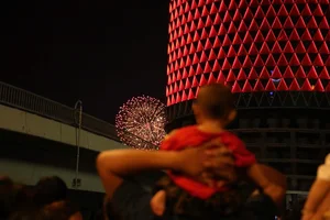 Spectacular Fireworks Display Lights Up the Ho Chi Minh City Skyline - image 6