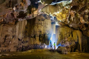Vietnam Unveils a Stunning 3,000m Long Cave Featuring a Breathtaking 'Stalactite Palace' - image 3