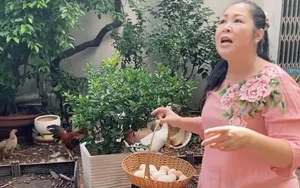 Touring NSND Hong Van's Stunning Villa Garden Filled with Exotic Fruits - image 2